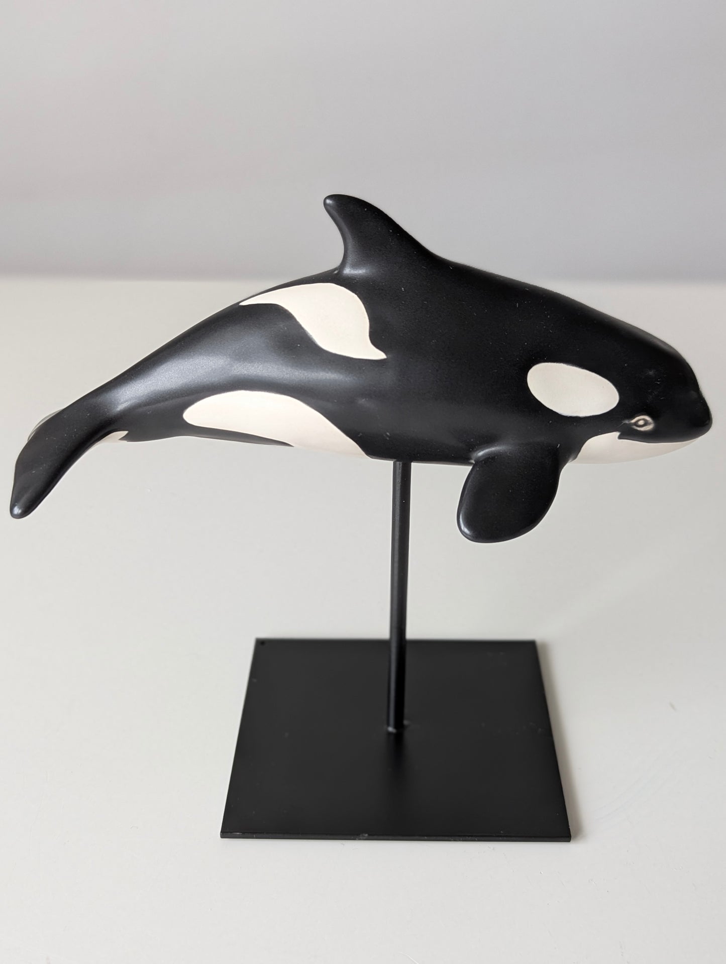 Baby Orca