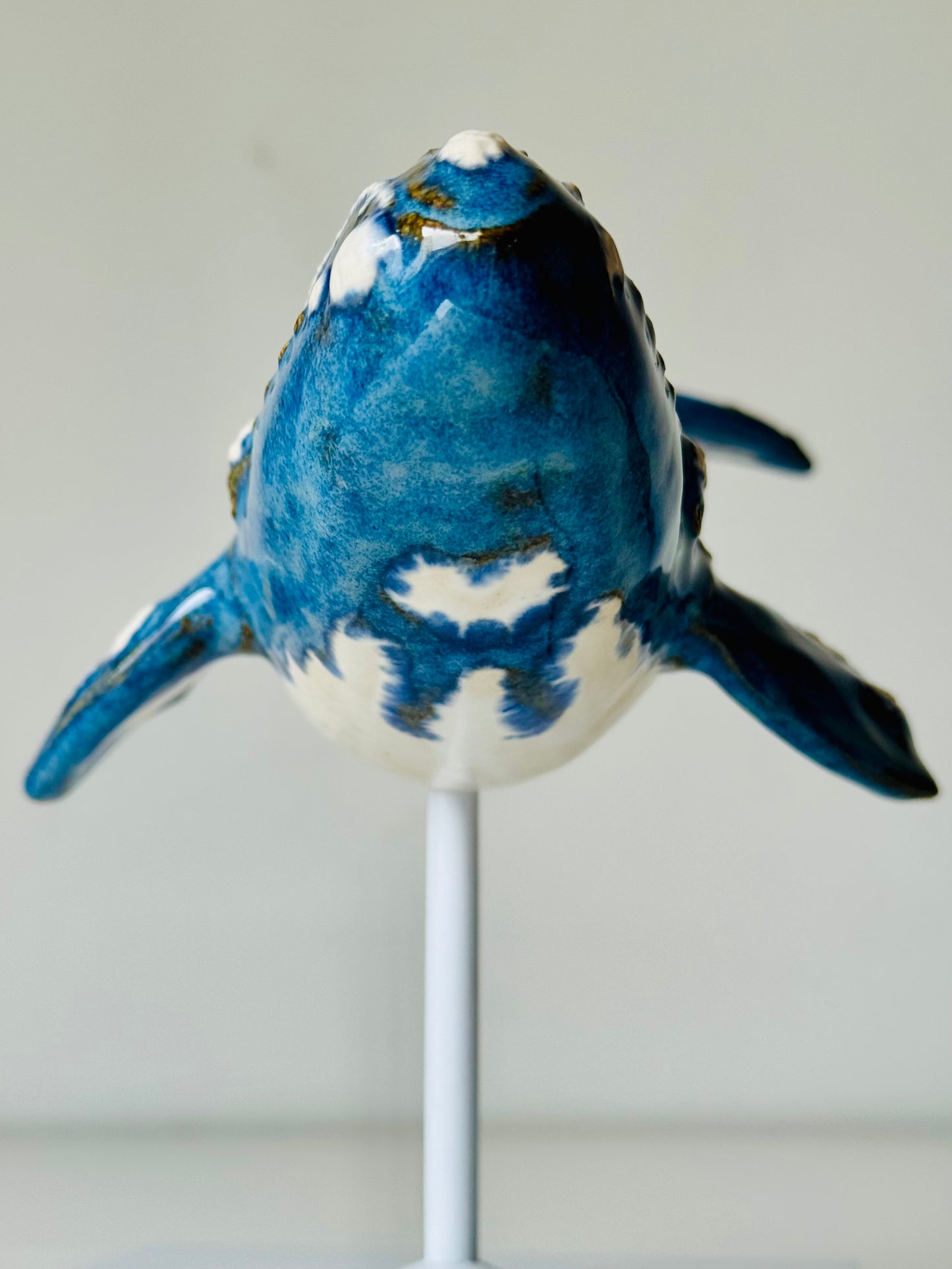 Right Whale on a metal stand