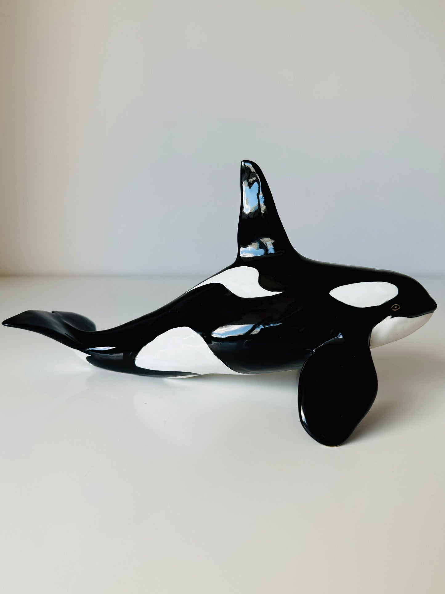 Male Orca