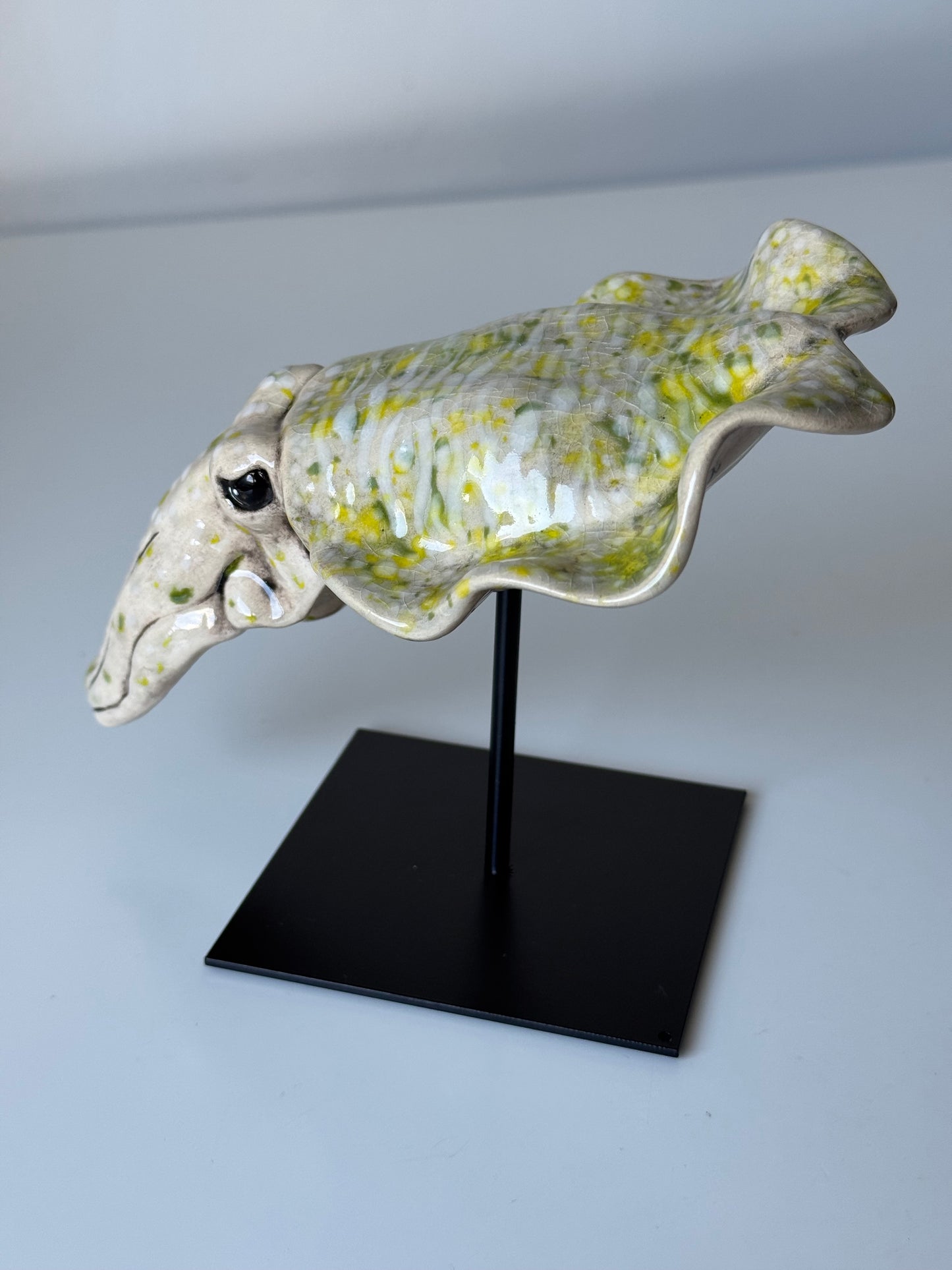 Cuttlefish