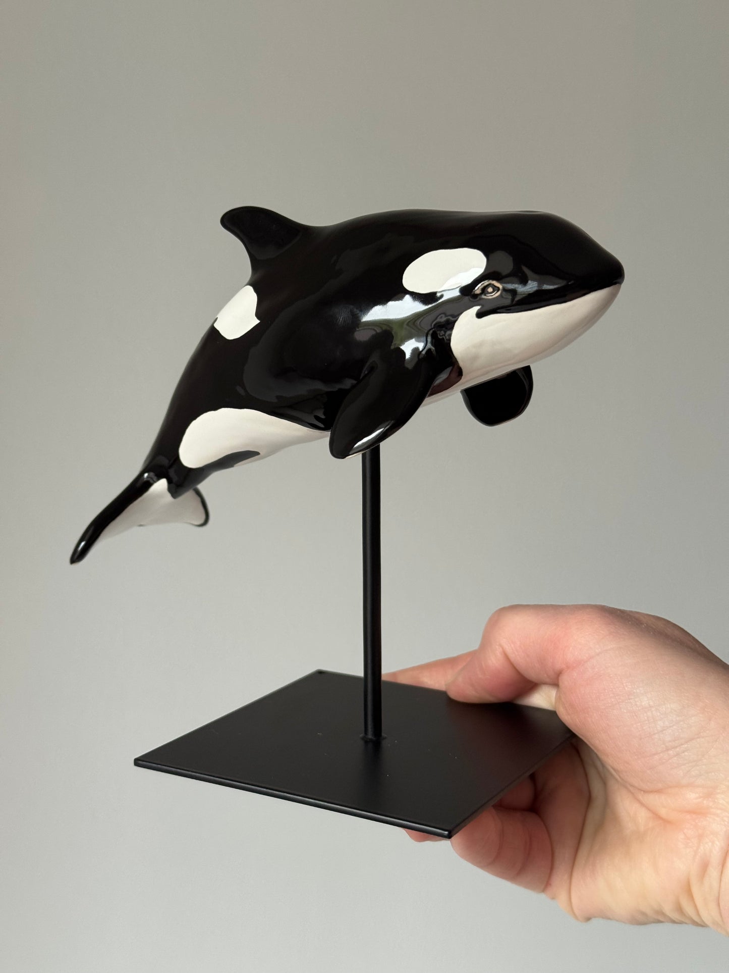 Baby Orca