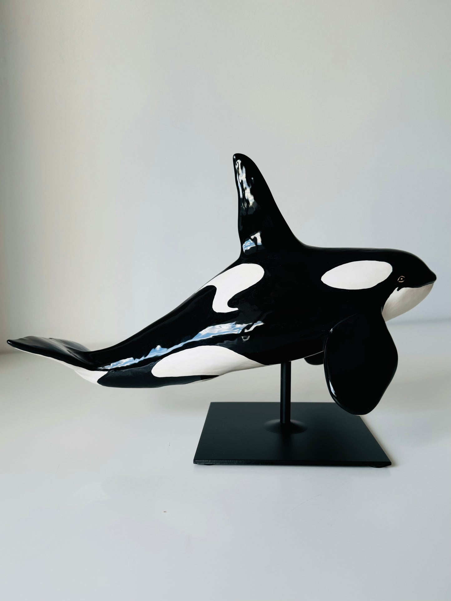 Male Orca on a stand