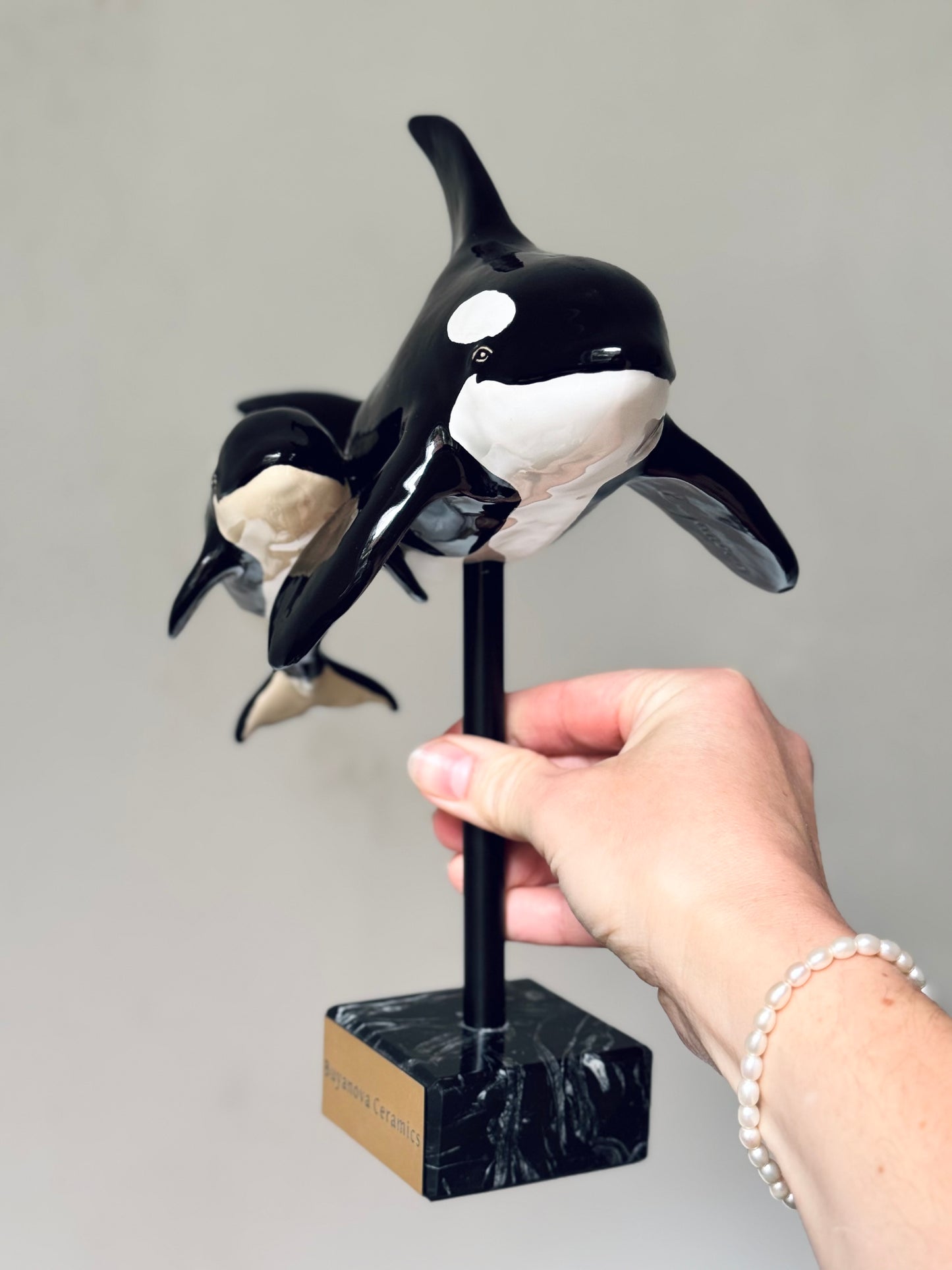 Mother and Calf Orcas