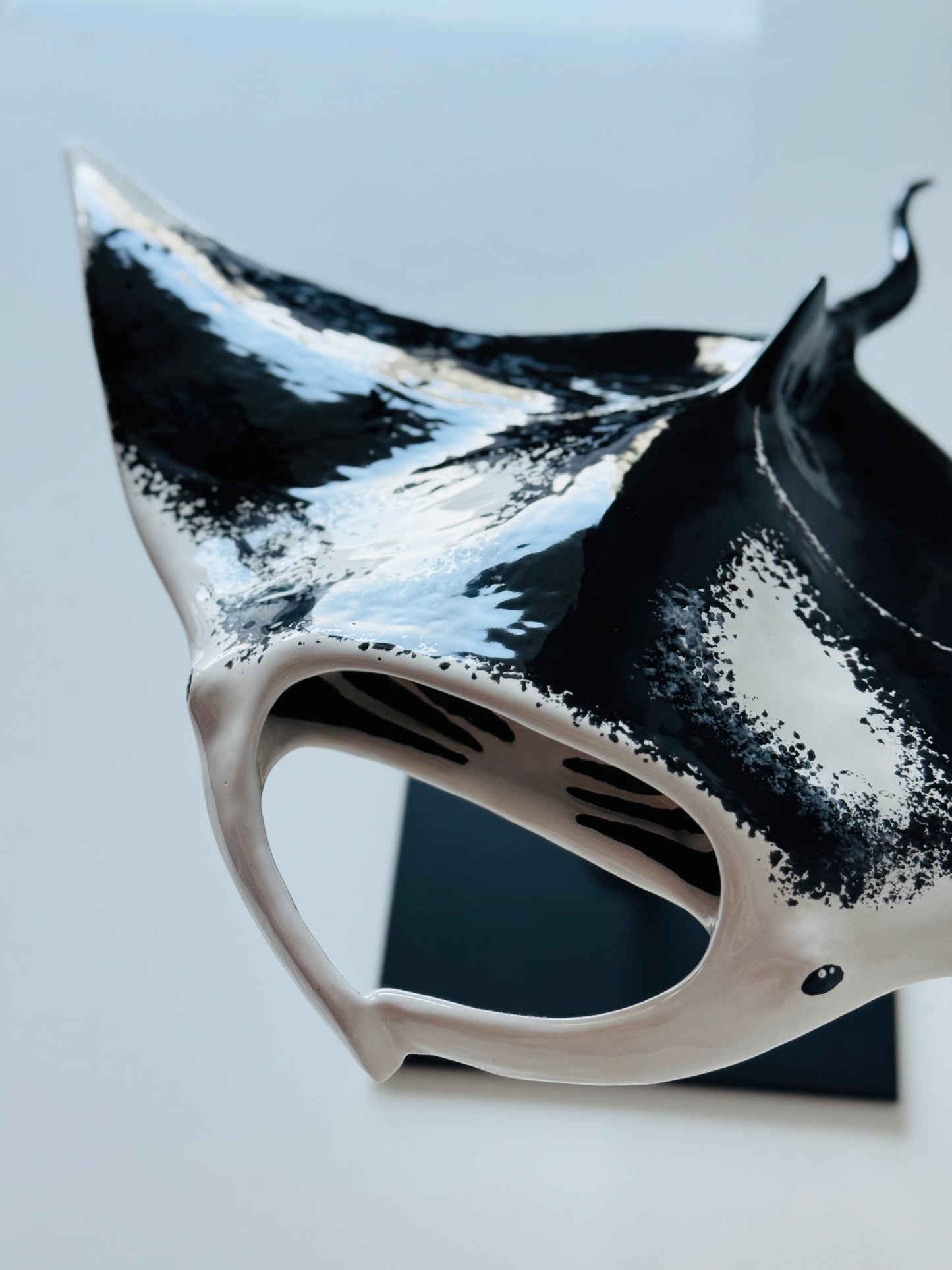 Big Manta Ray