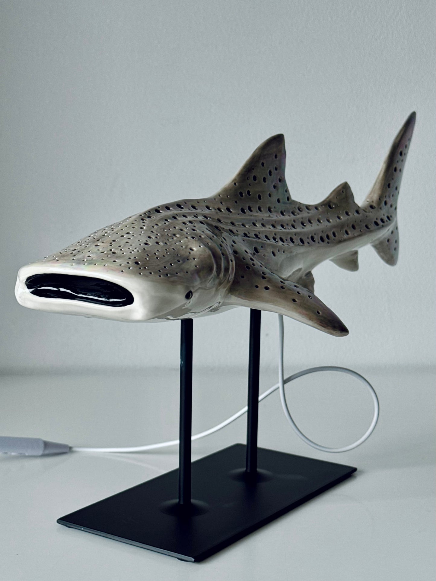 Shark Lamp
