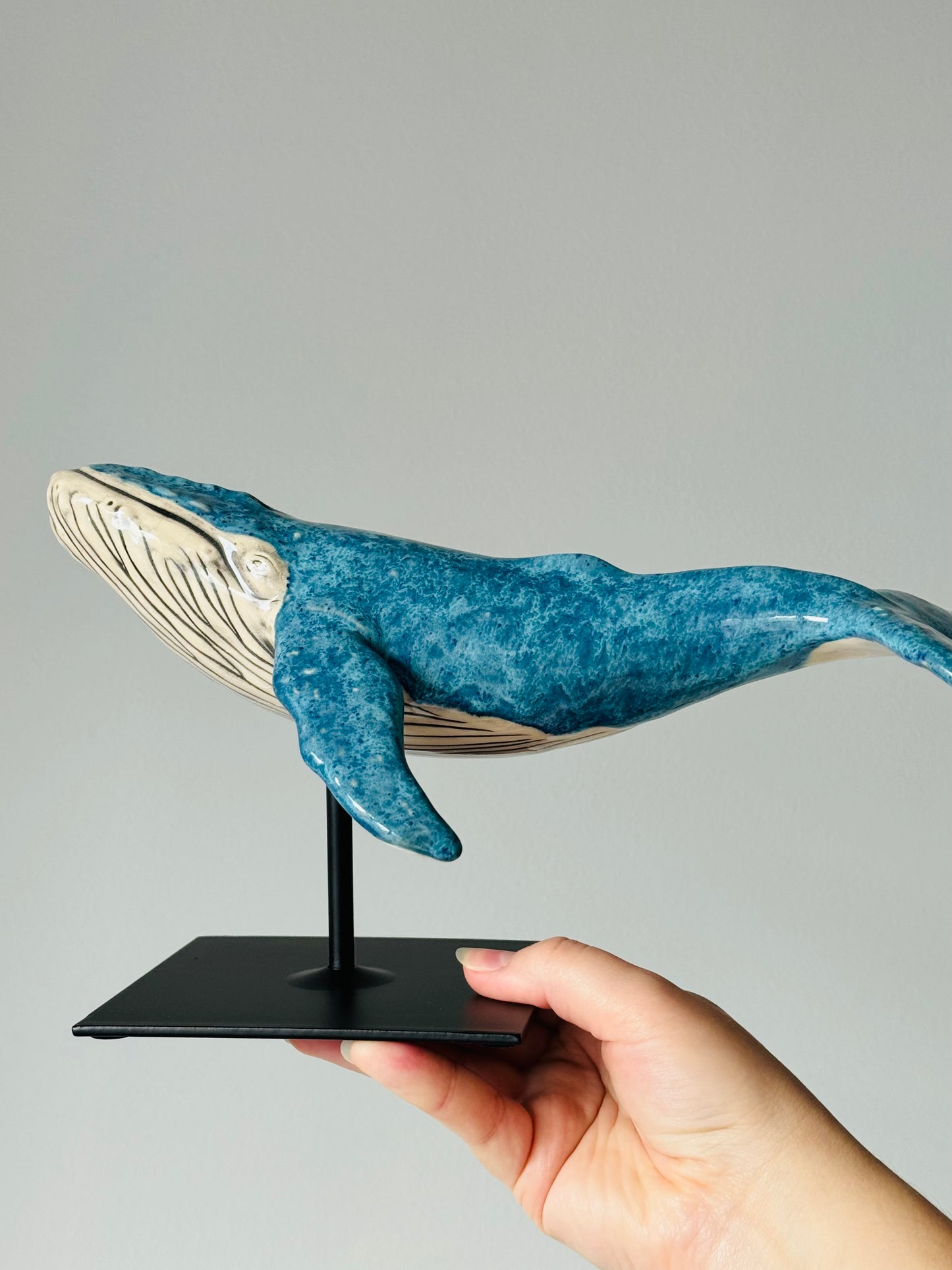 Humpback Whale on a stand