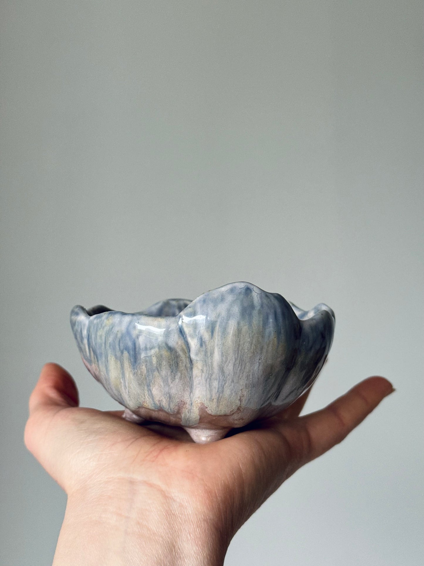 Shell-shaped plate