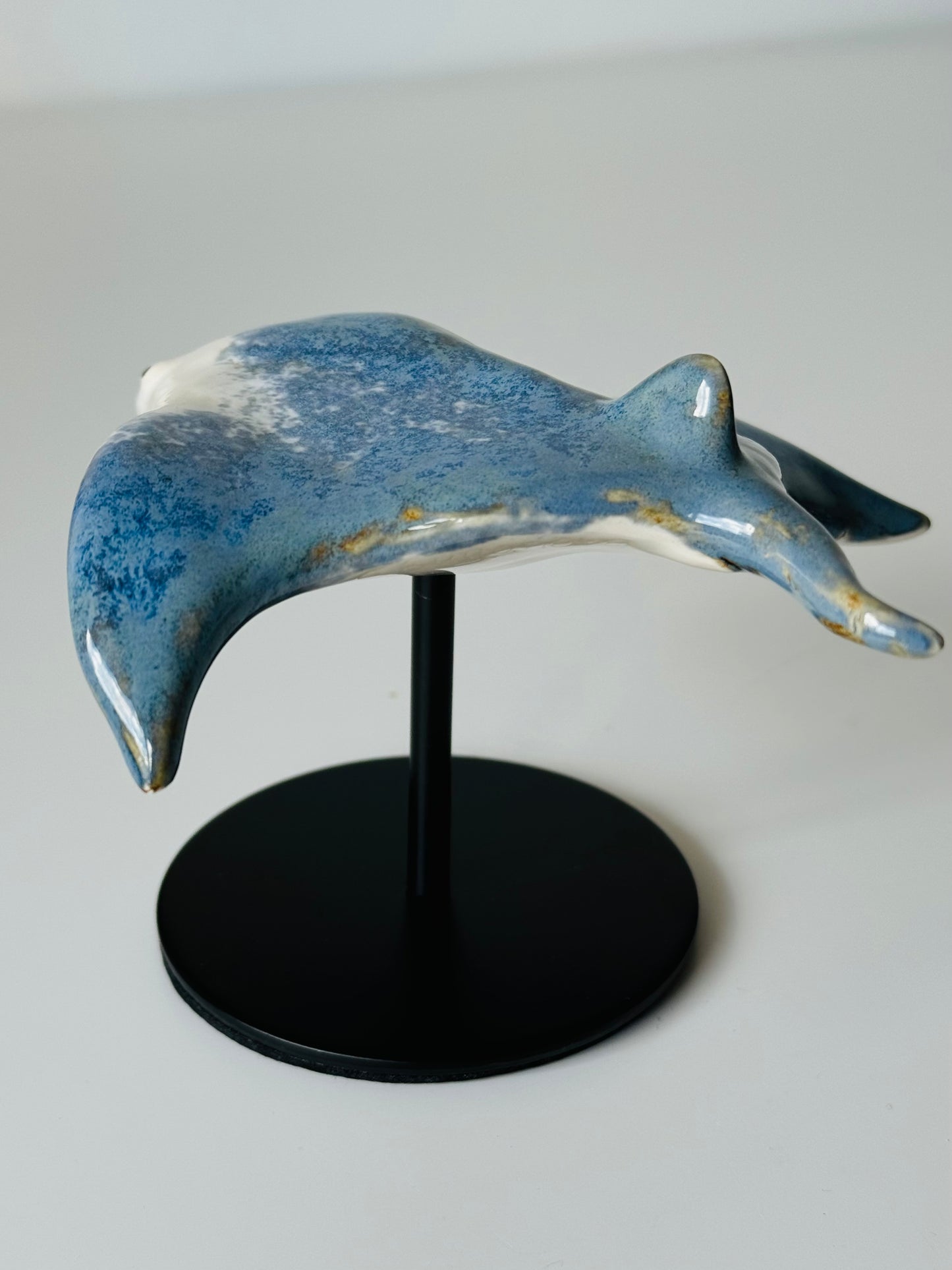 Manta Ray on a stand