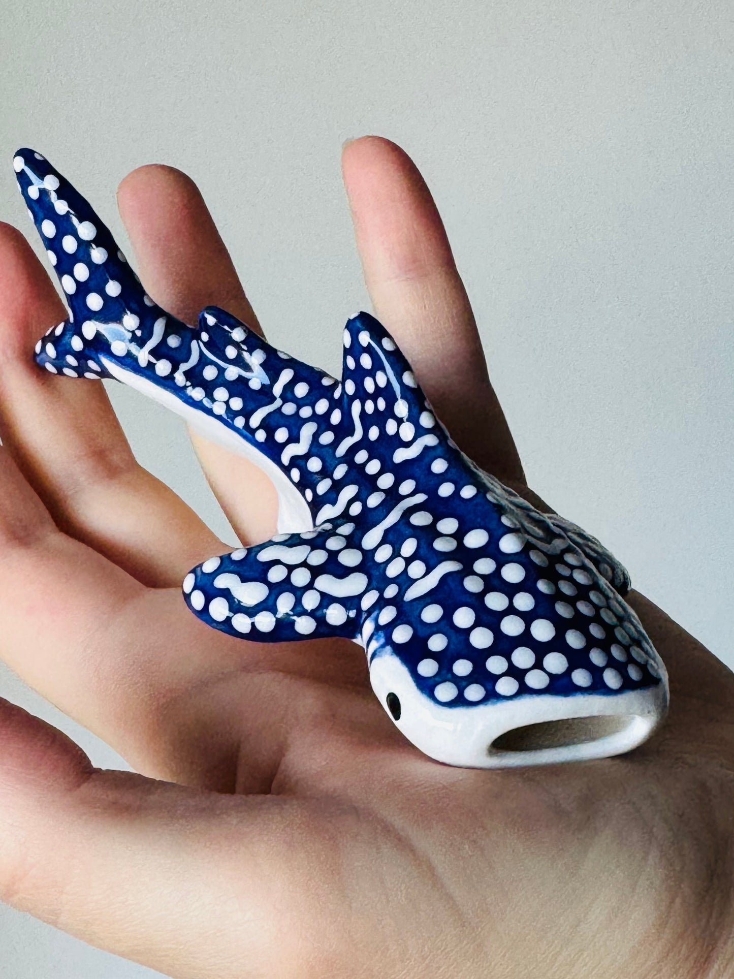 Baby Whale Shark