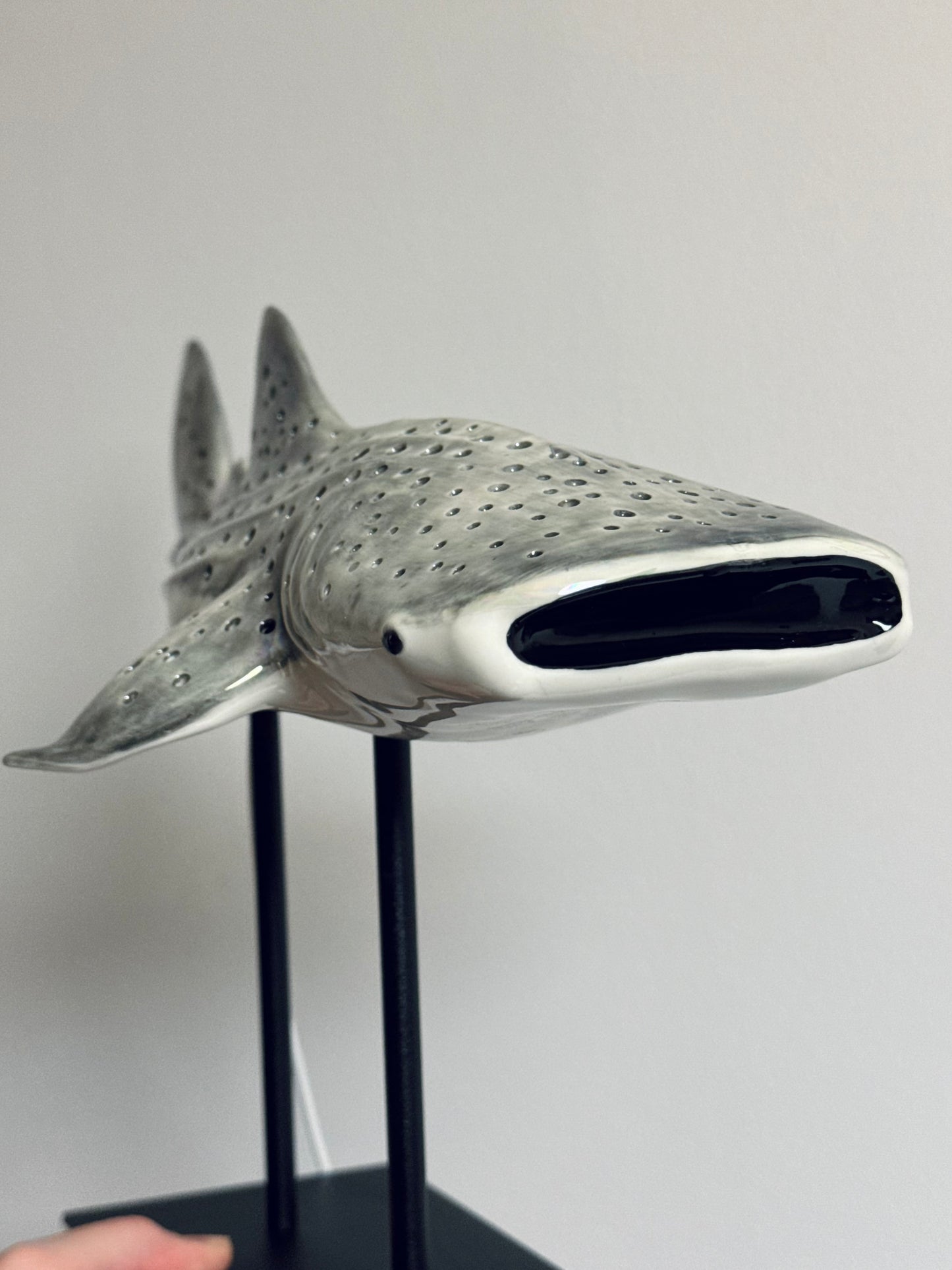 Shark Lamp