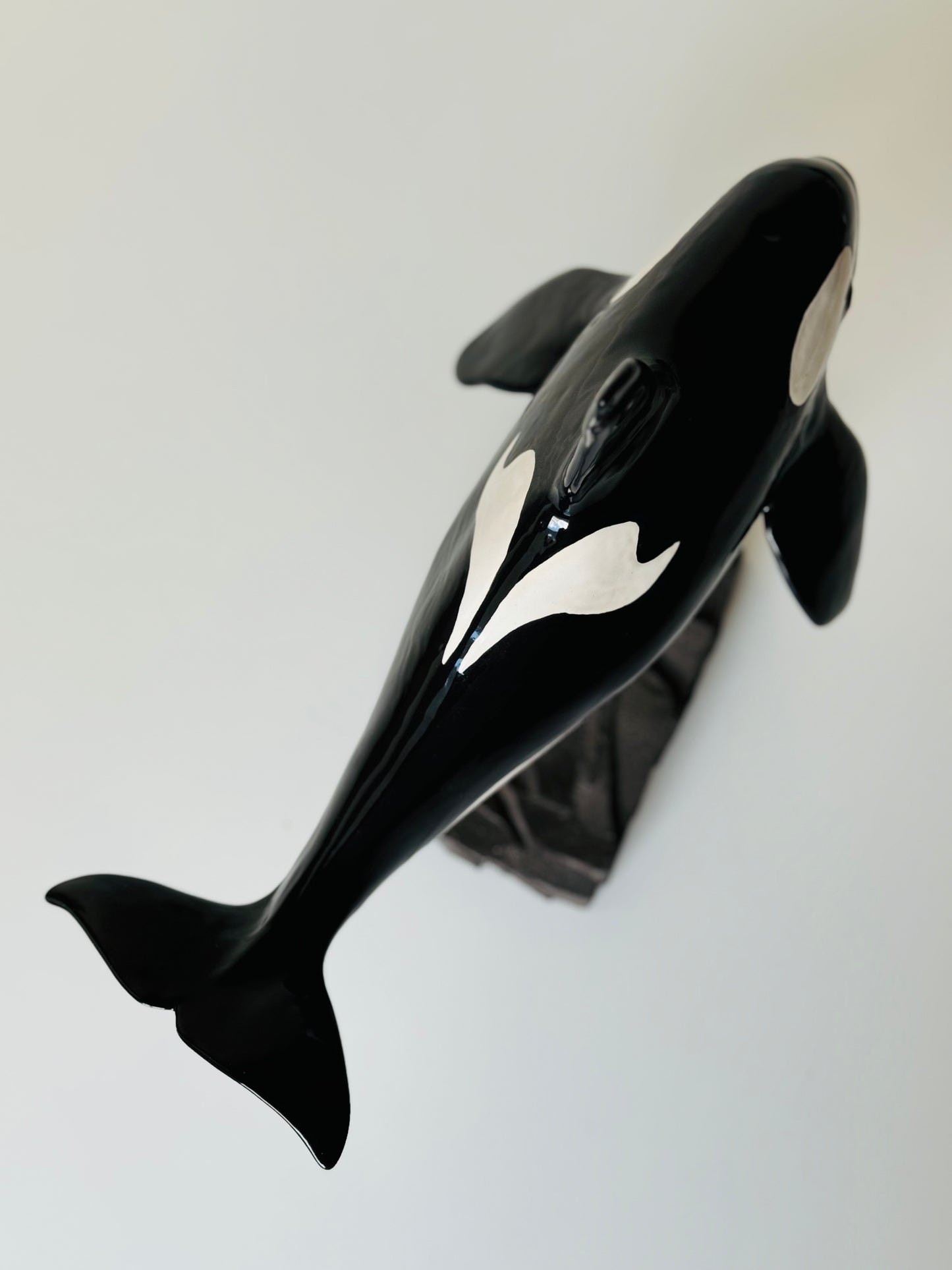 Male Orca on a stand