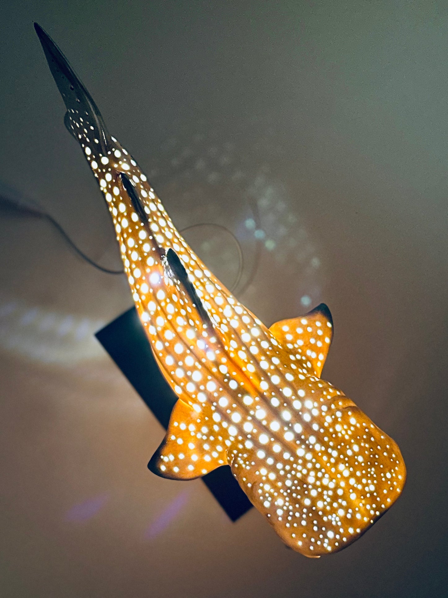 Shark Lamp