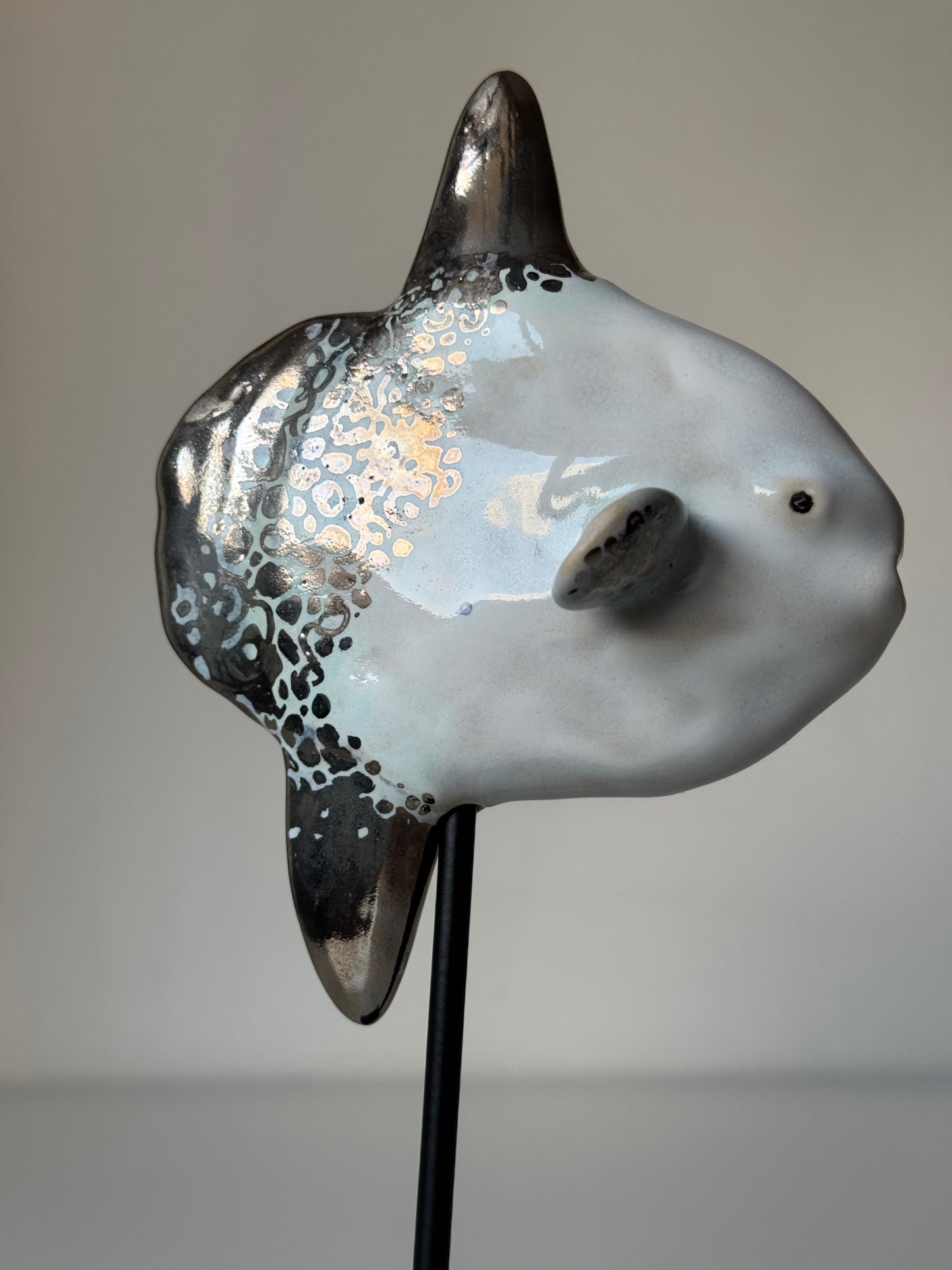 Mola Mola on a metal stand