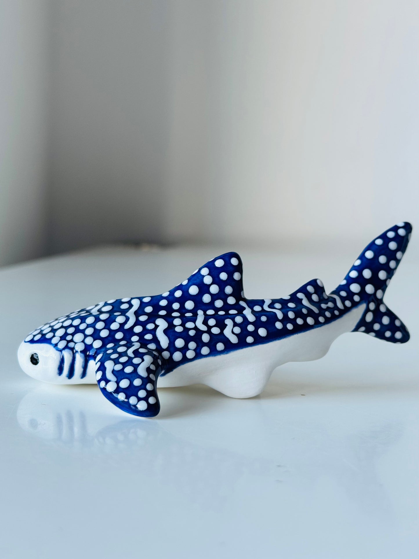 Baby Whale Shark