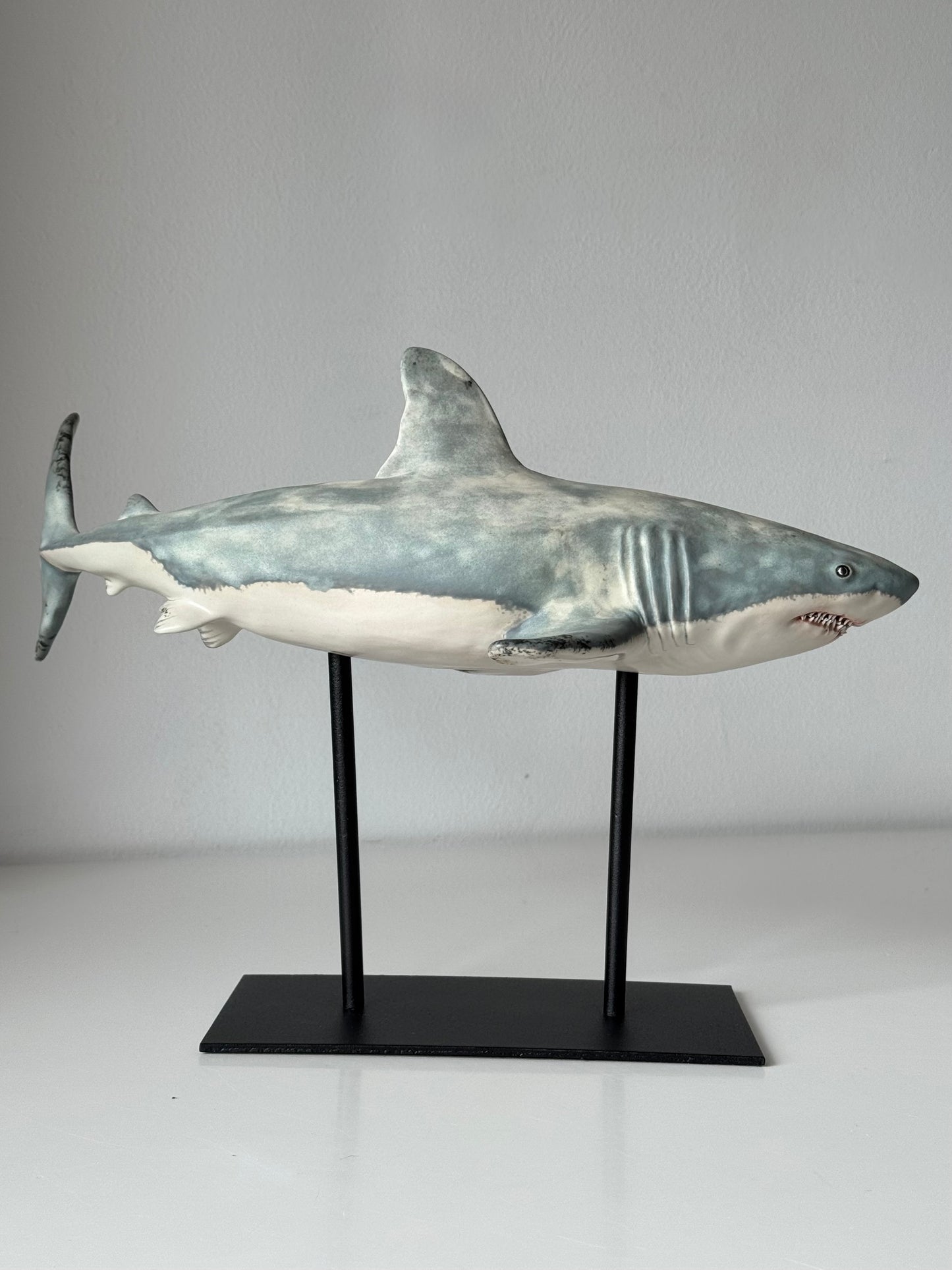 Great White Shark