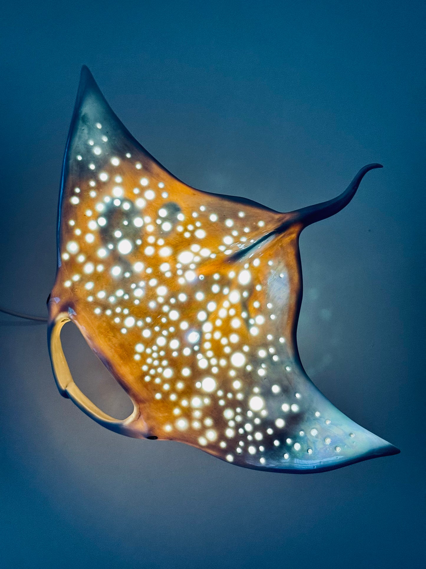 Big Manta Ray