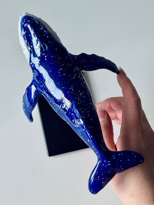 Baby Humpback Whale