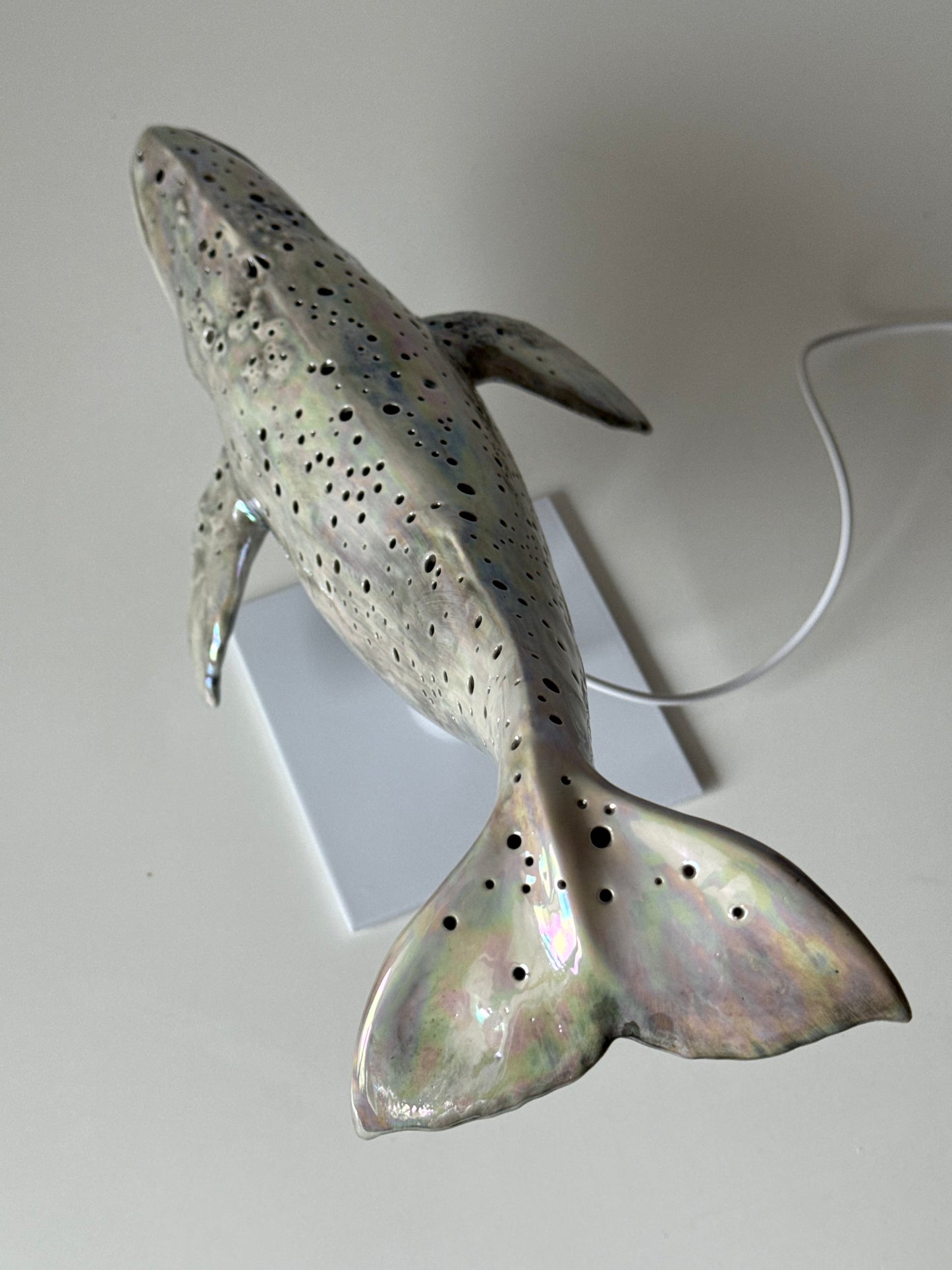 Gray whale lamp