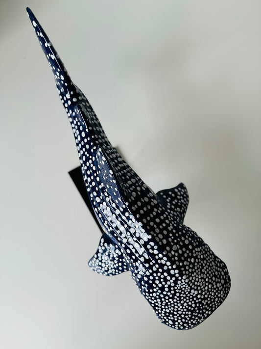 Whale Shark on a metal stand