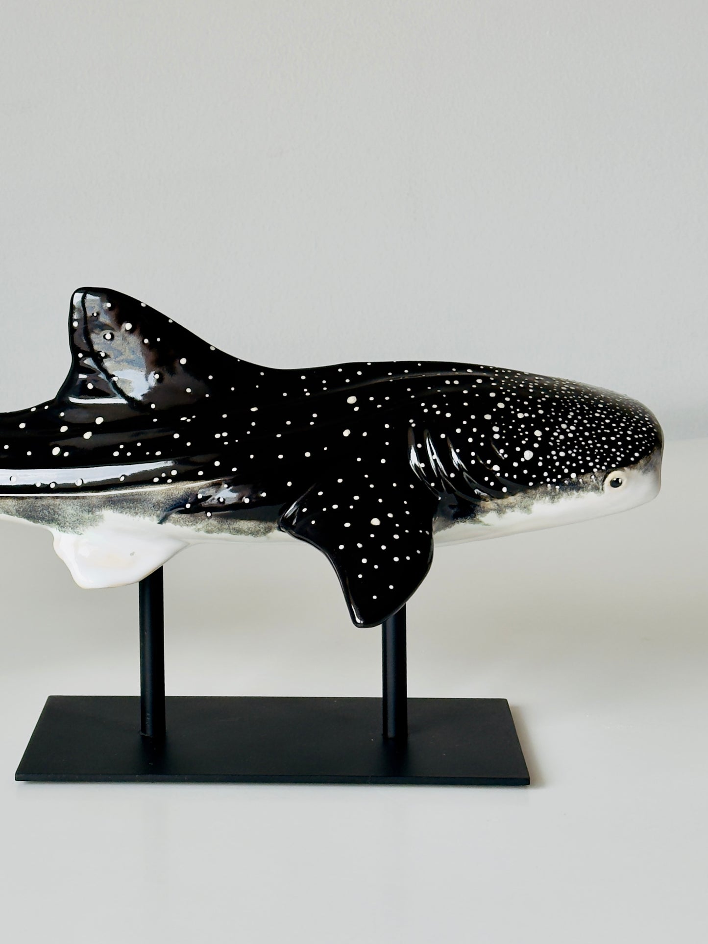 Whale Shark on a metal stand