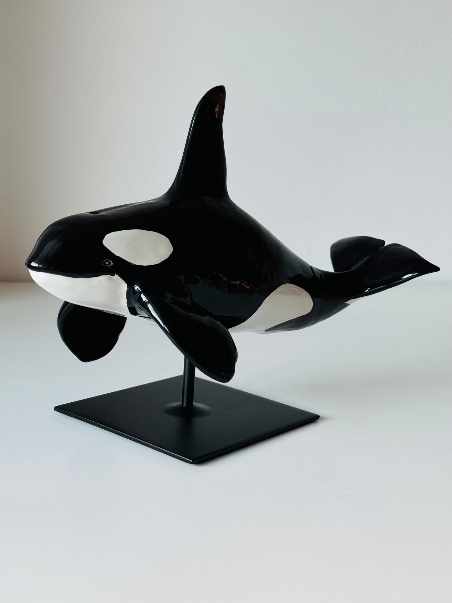 Male Orca on a stand