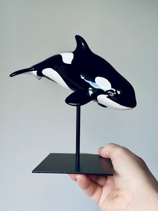 Baby Orca