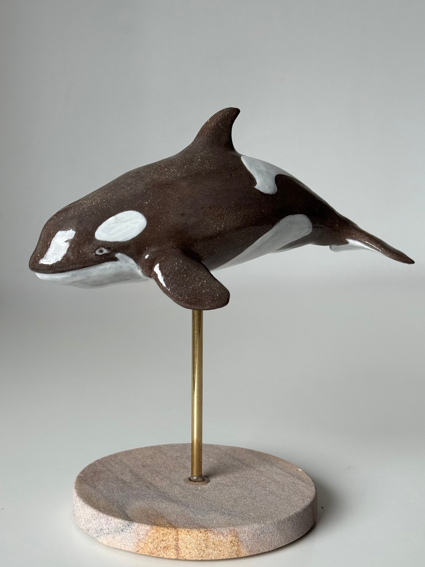 Baby Orca
