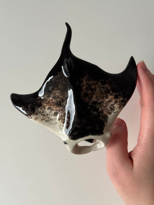 Manta Ray on a stand