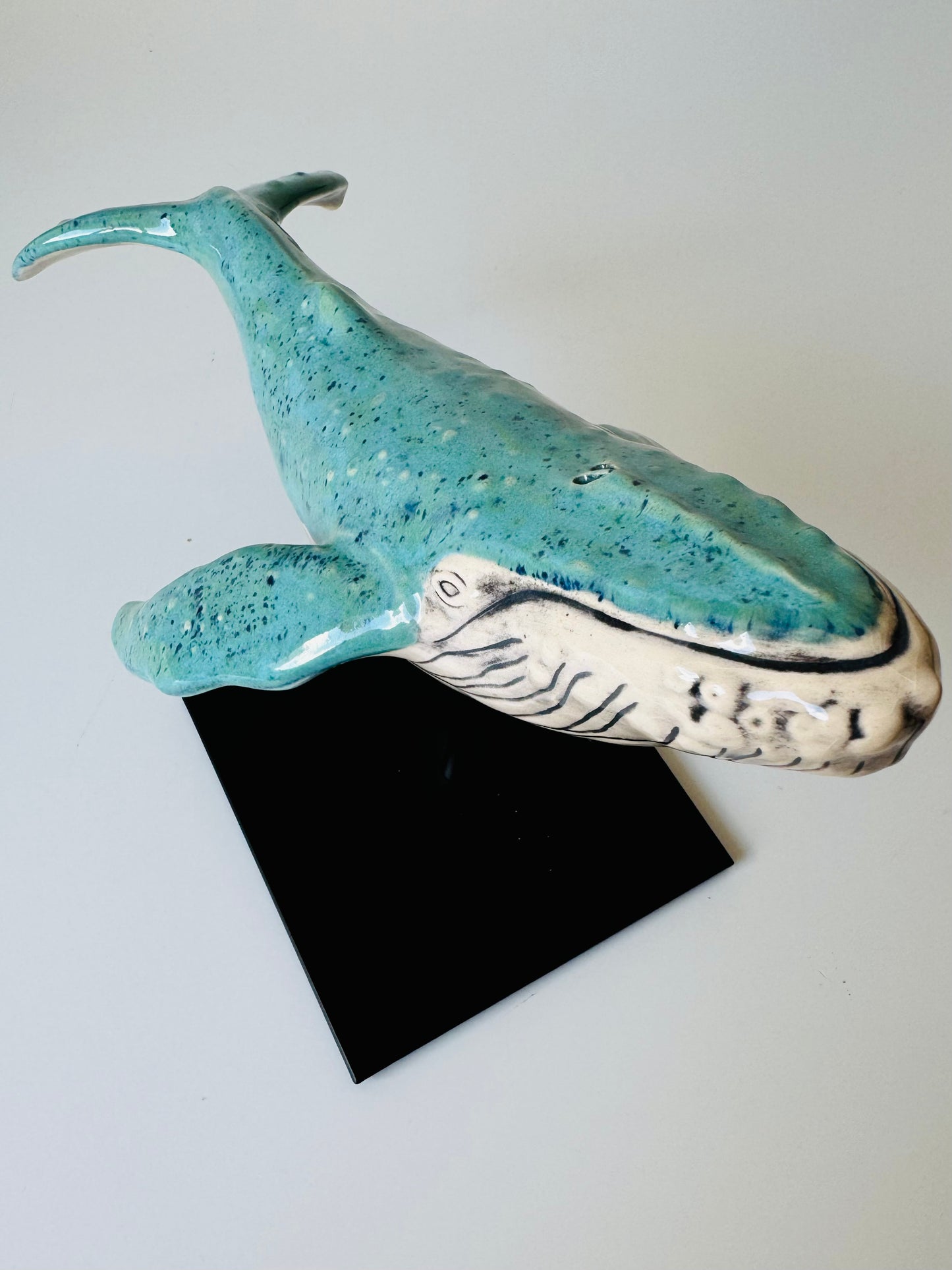 Humpback Whale on a stand