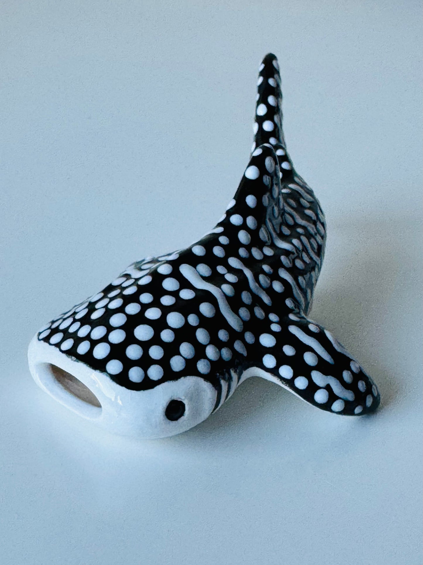 Baby Whale Shark