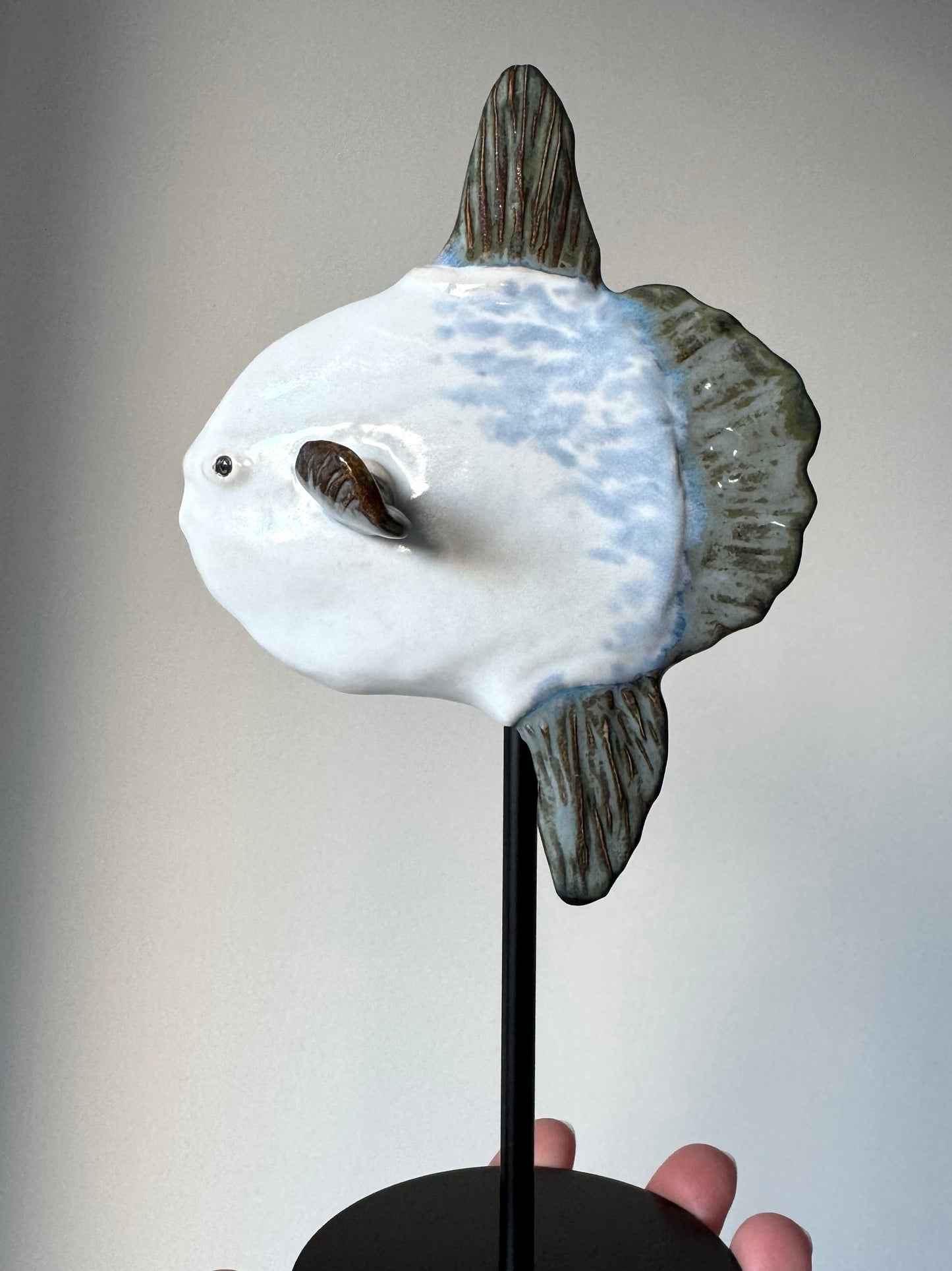 Mola Mola on a metal stand