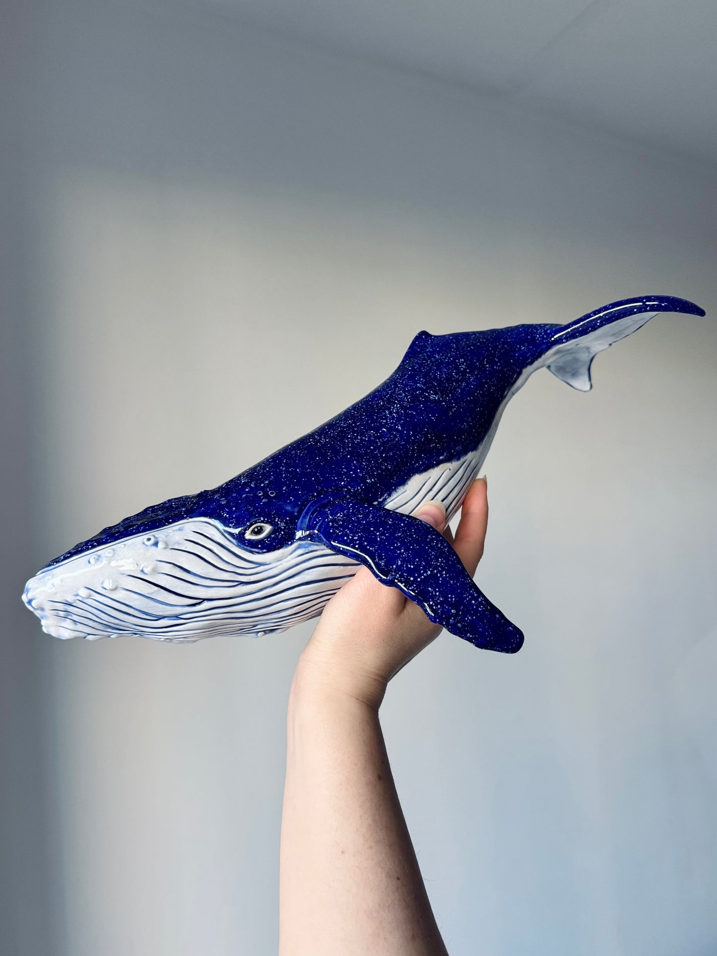 Big Humpback Whale
