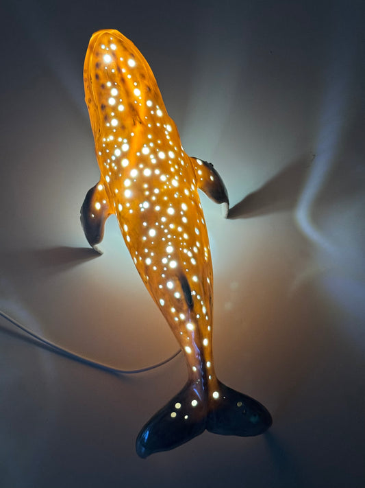 Whale Lamp