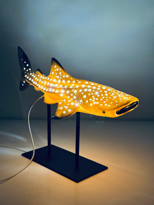 Shark Lamp