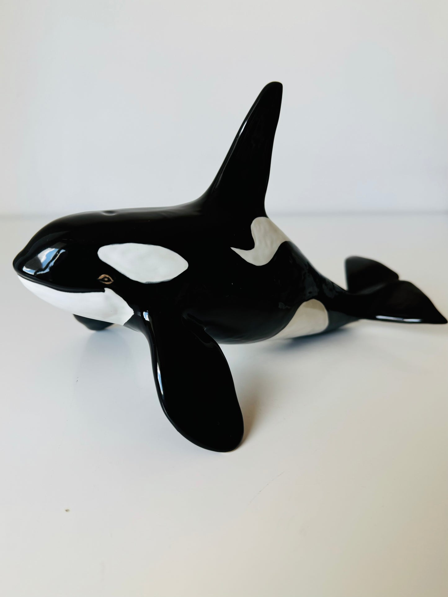 Male Orca