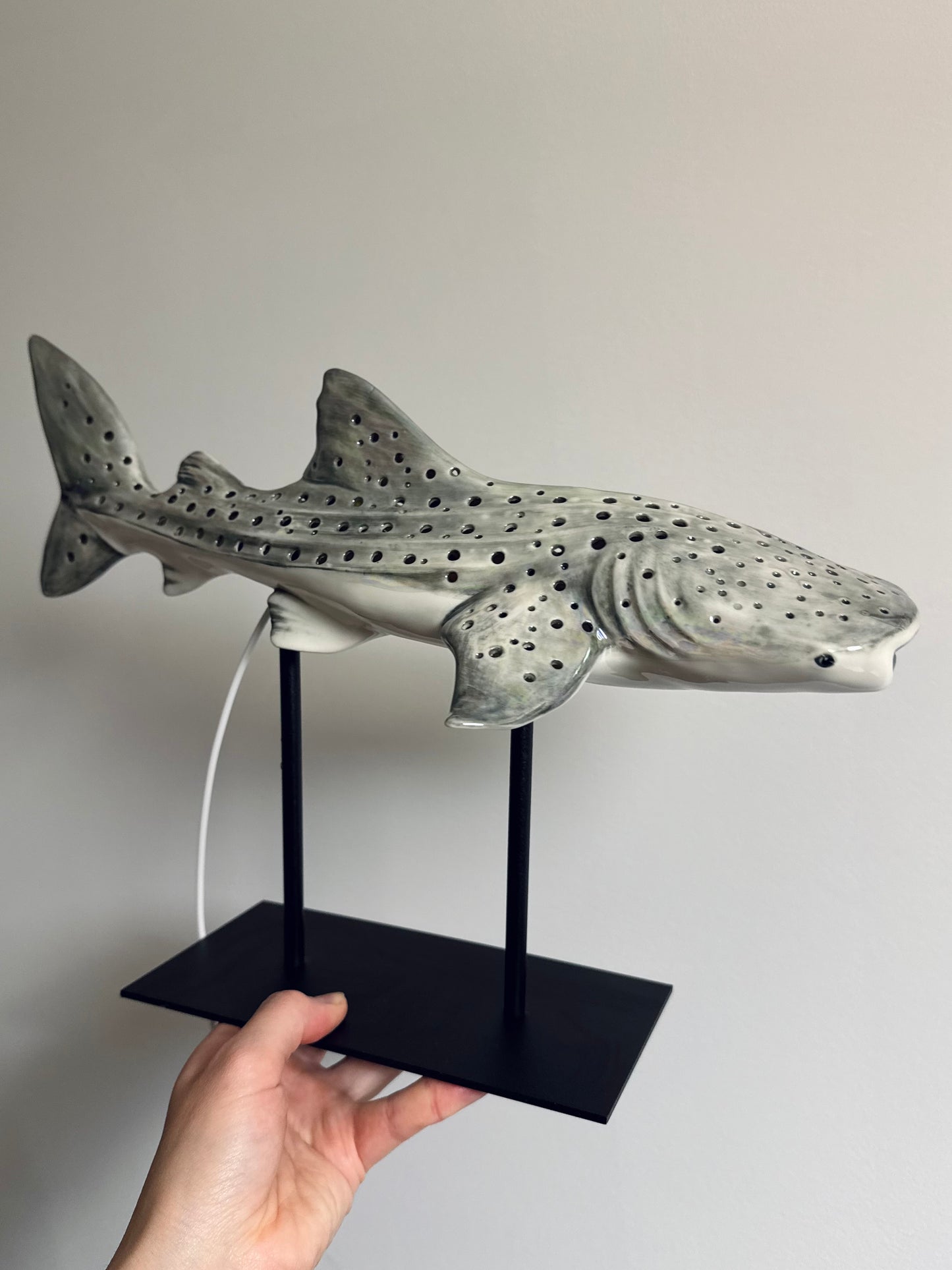 Shark Lamp
