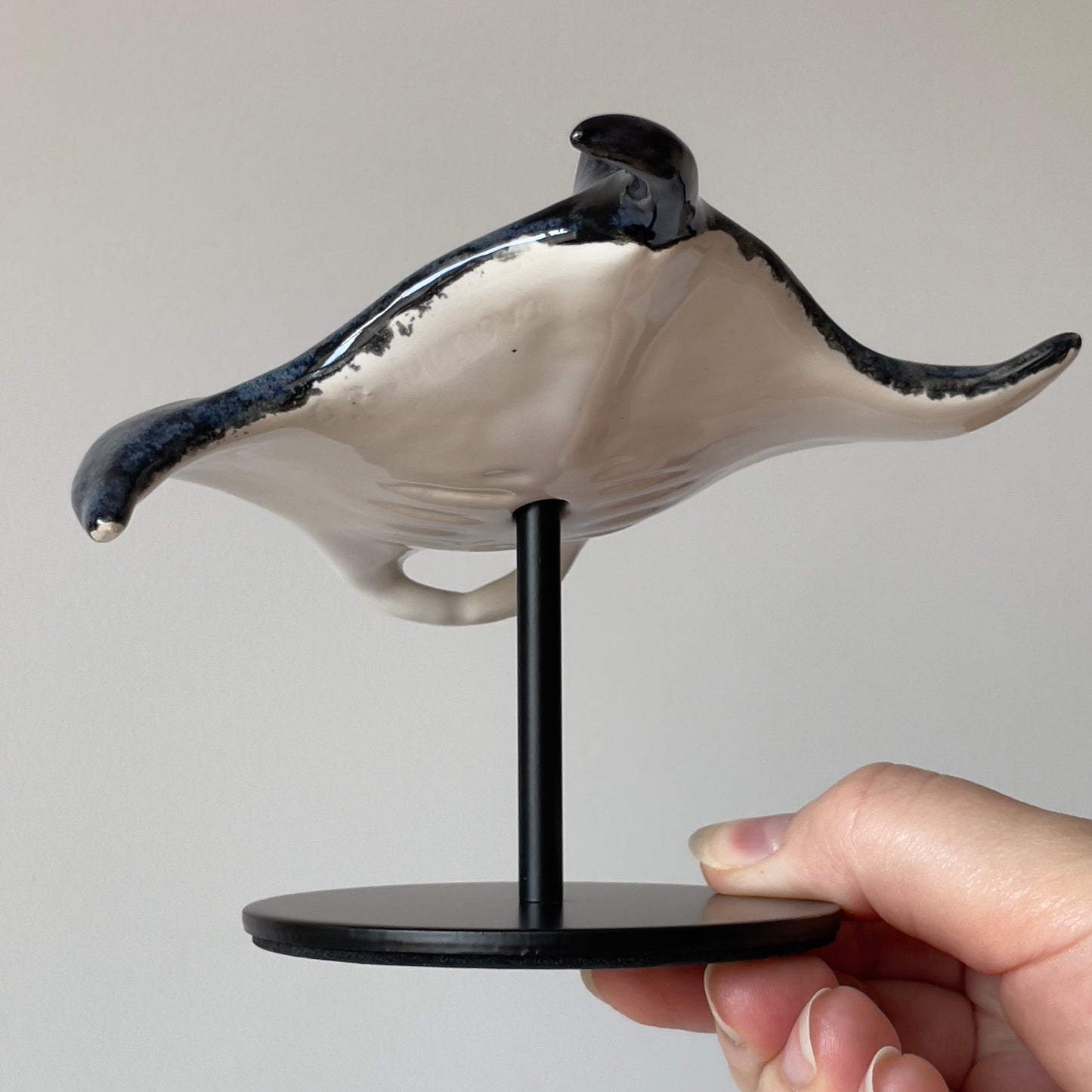 Manta Ray on a stand