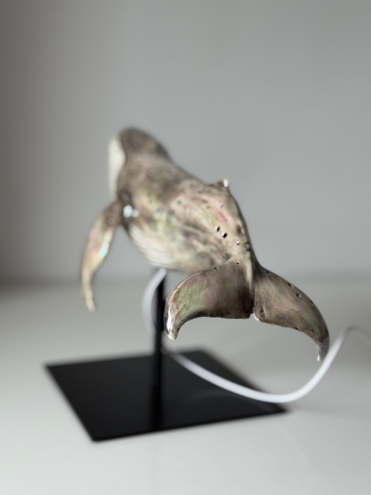 Whale Lamp