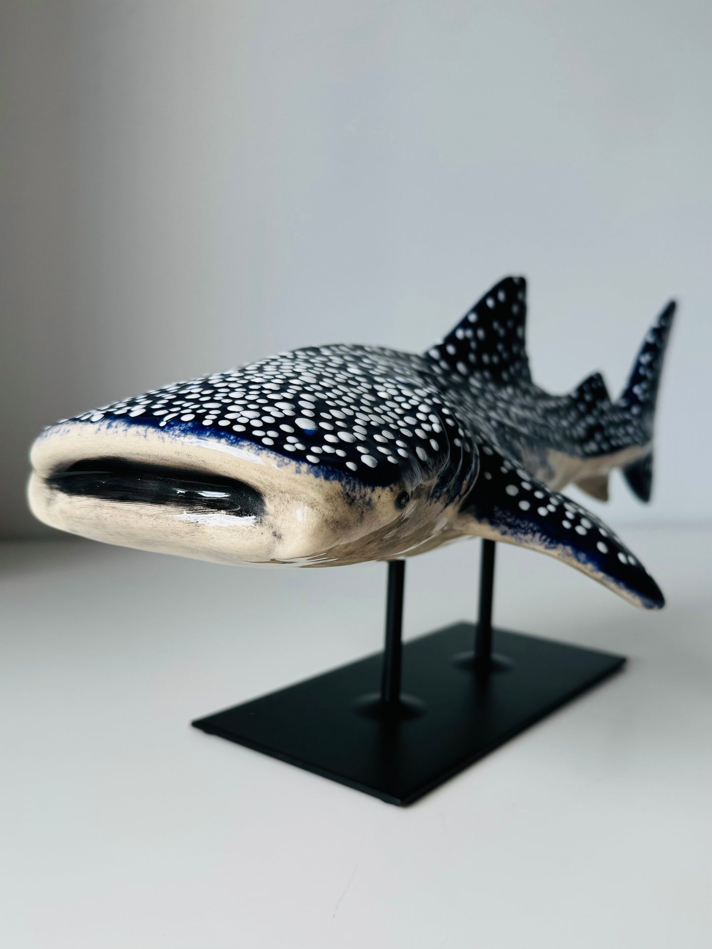 Whale Shark on a metal stand