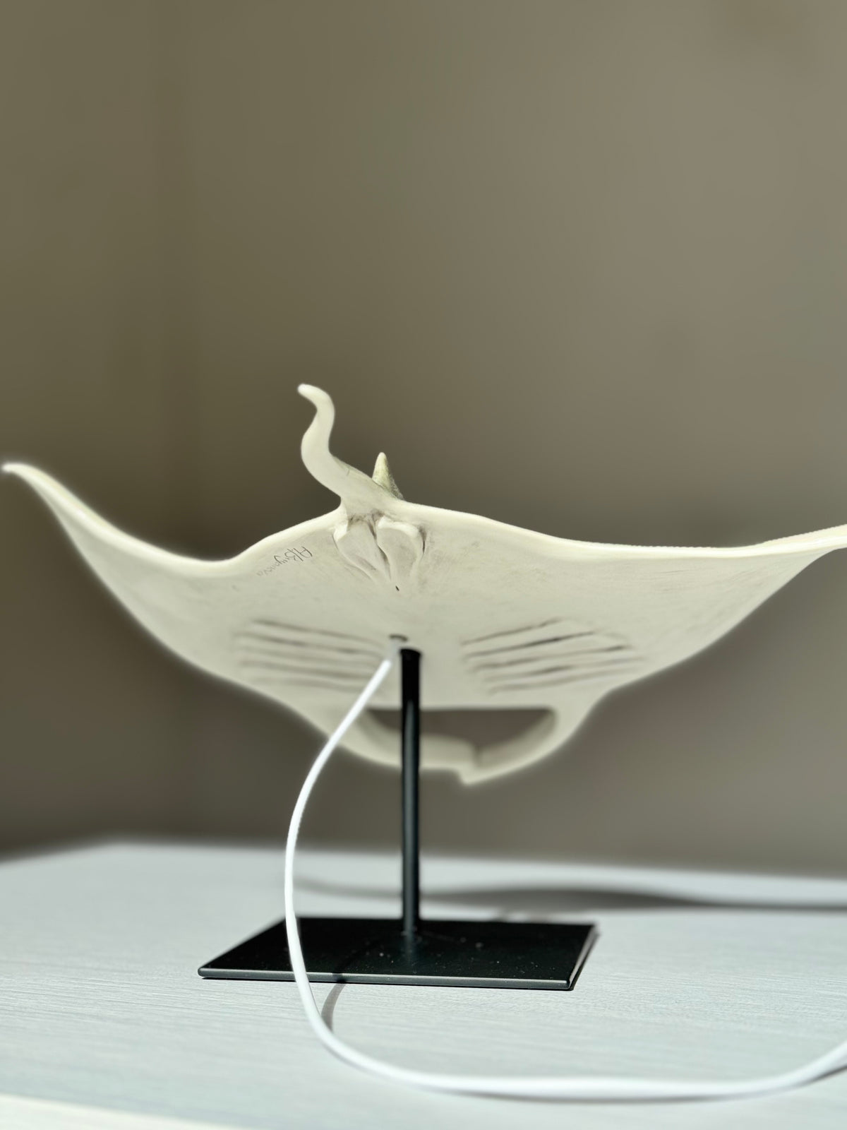 Big Manta Ray