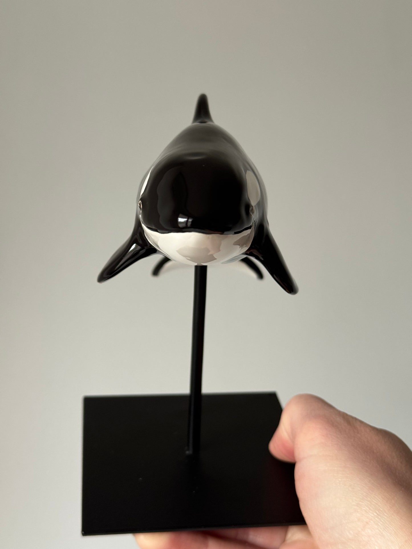 Baby Orca