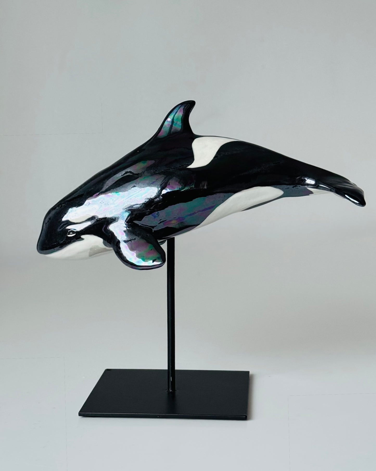Baby Orca