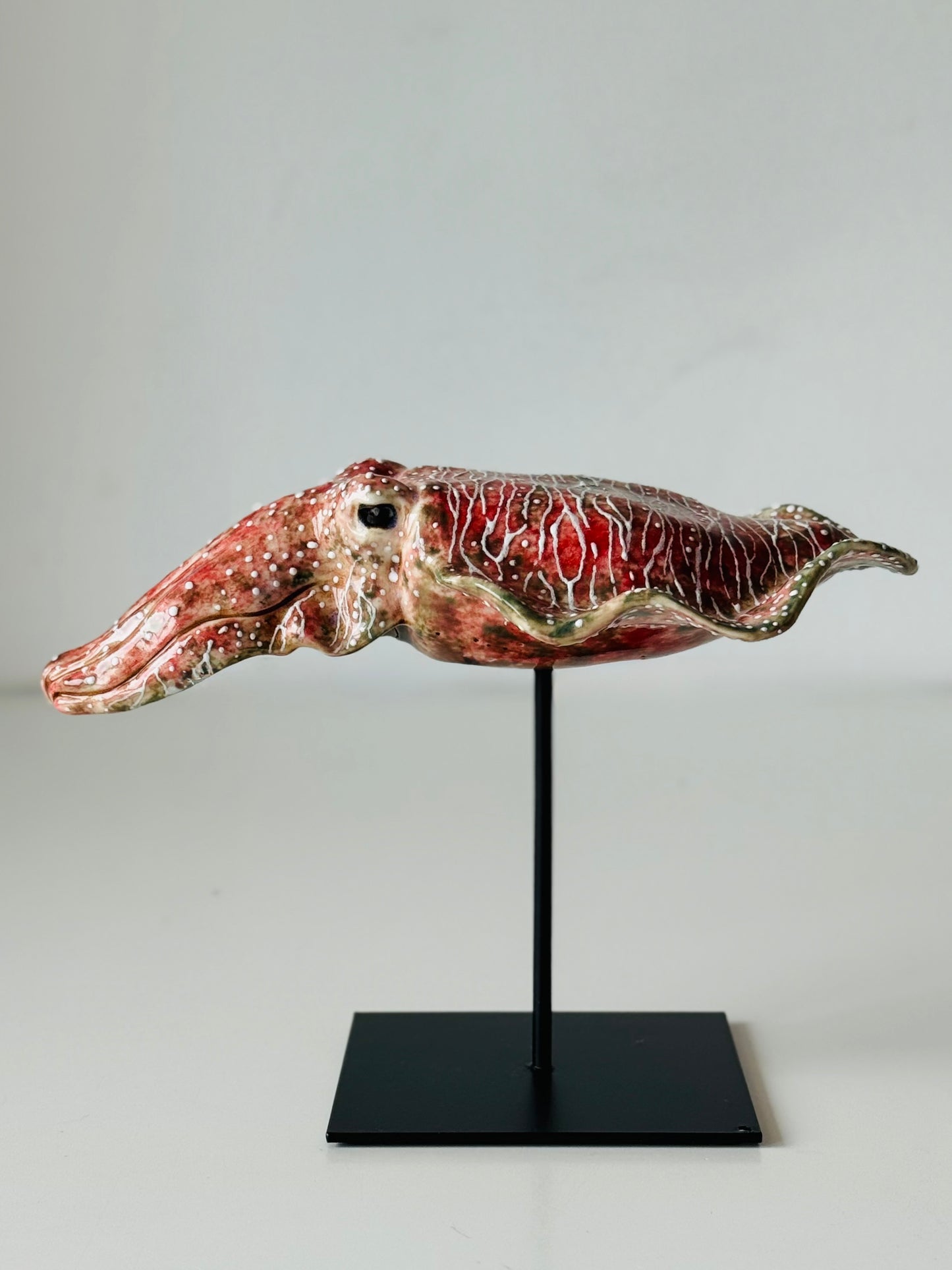 Cuttlefish