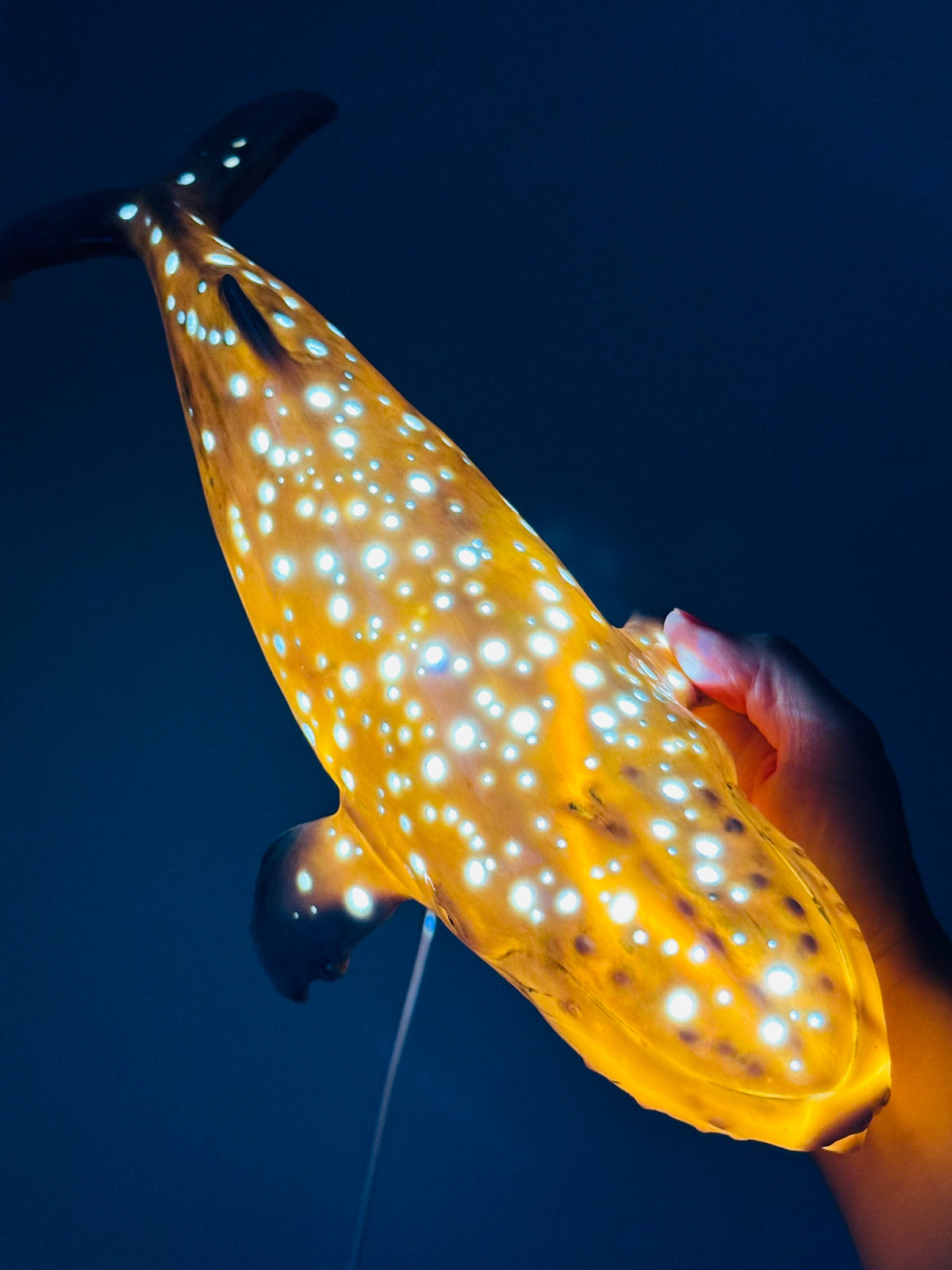 Whale Lamp