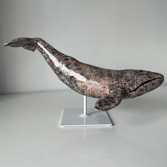 Gray whale on a metal stand