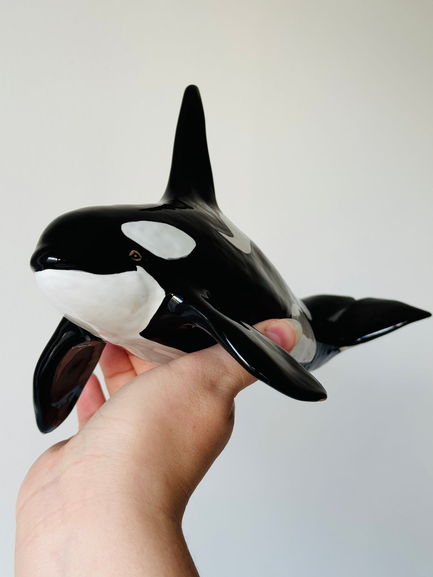 Male Orca