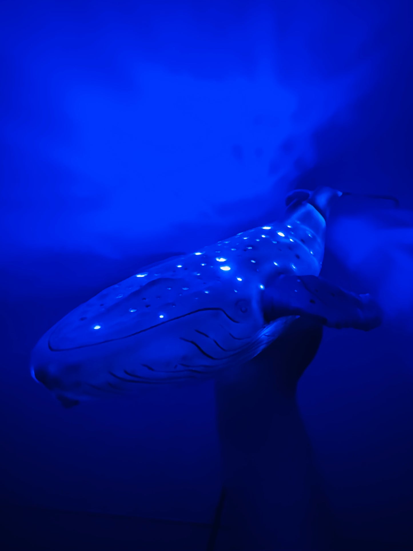 Porcelain Whale Lamp (Kintsugi)