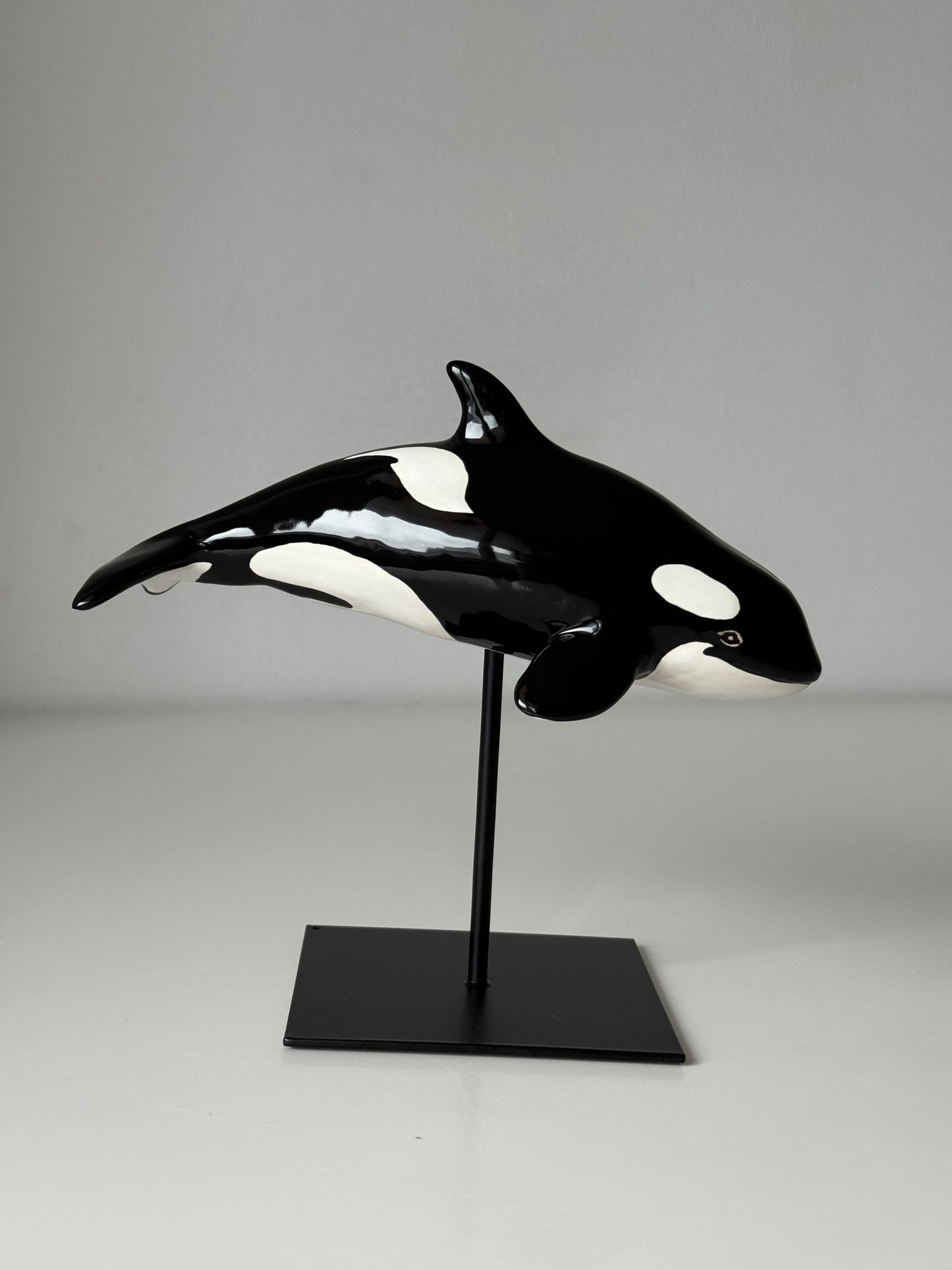 Baby Orca
