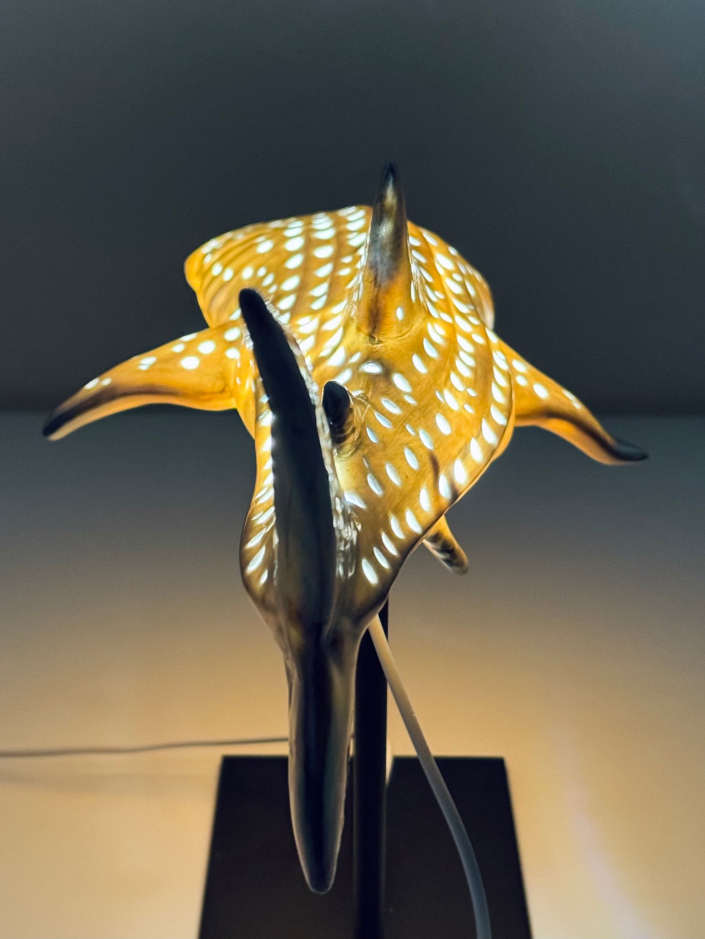 Shark Lamp