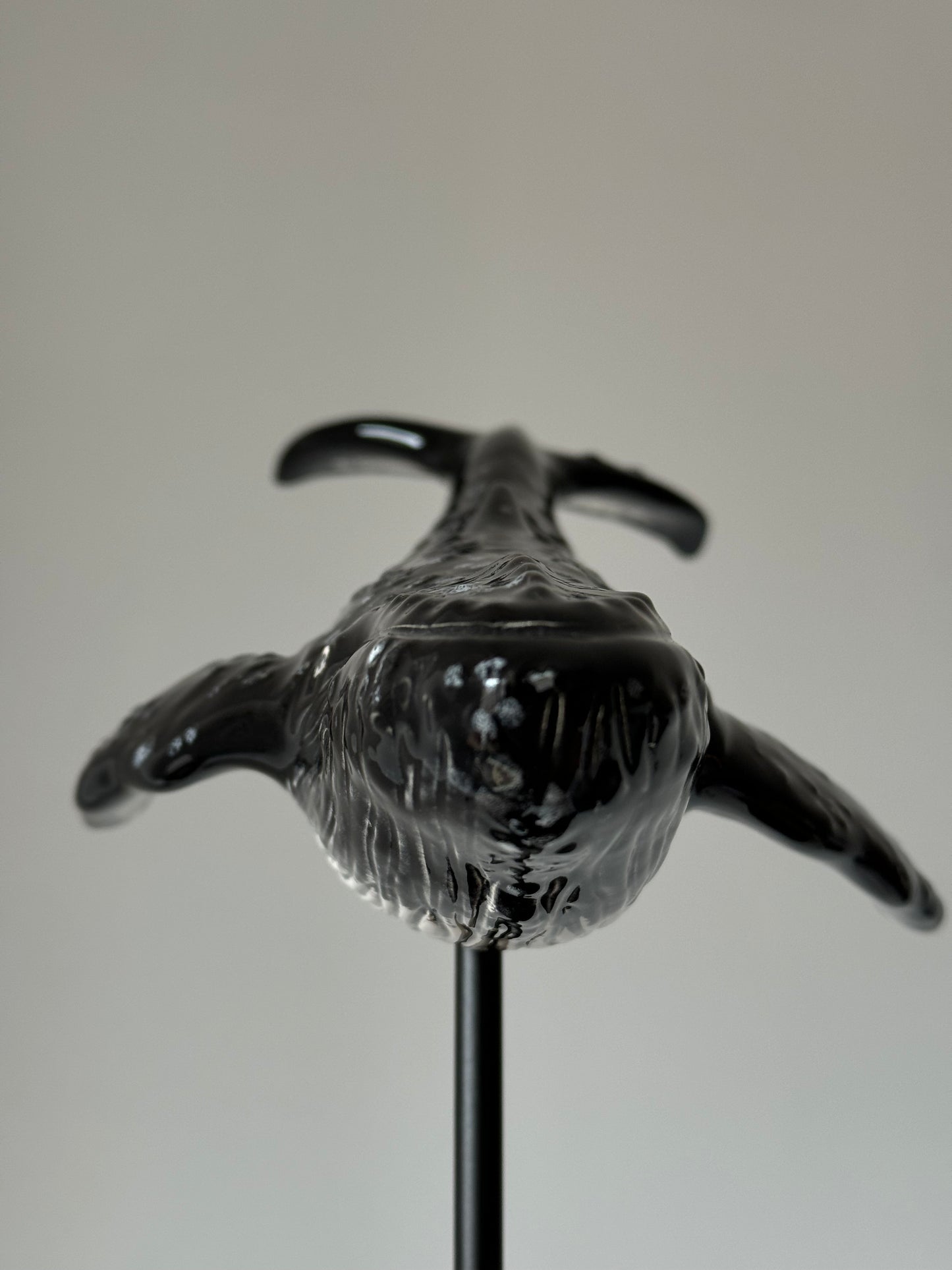 Humpback Whale on a stand